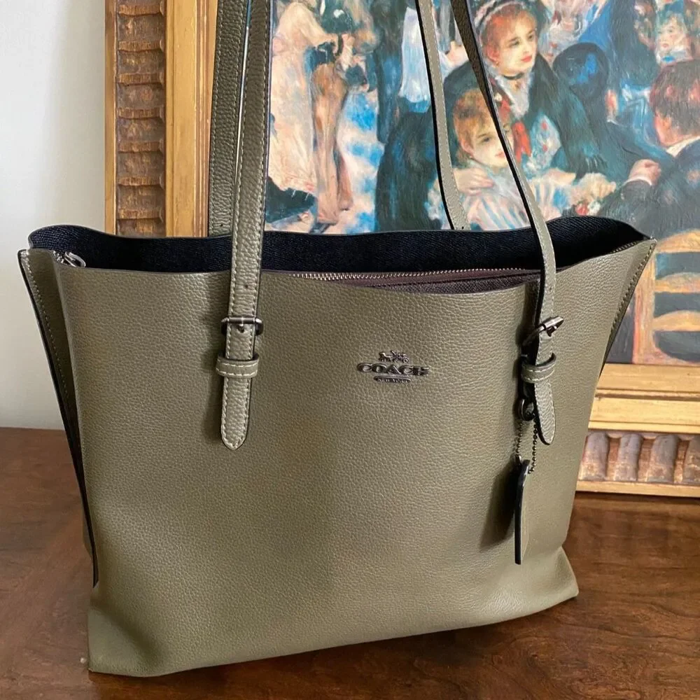 Coach 1671 tote fits